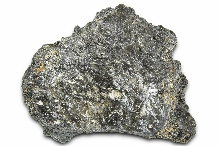 Fossil Glyptodont (Glyptotherium) Bony Armor Osteoderm - Florida #362350